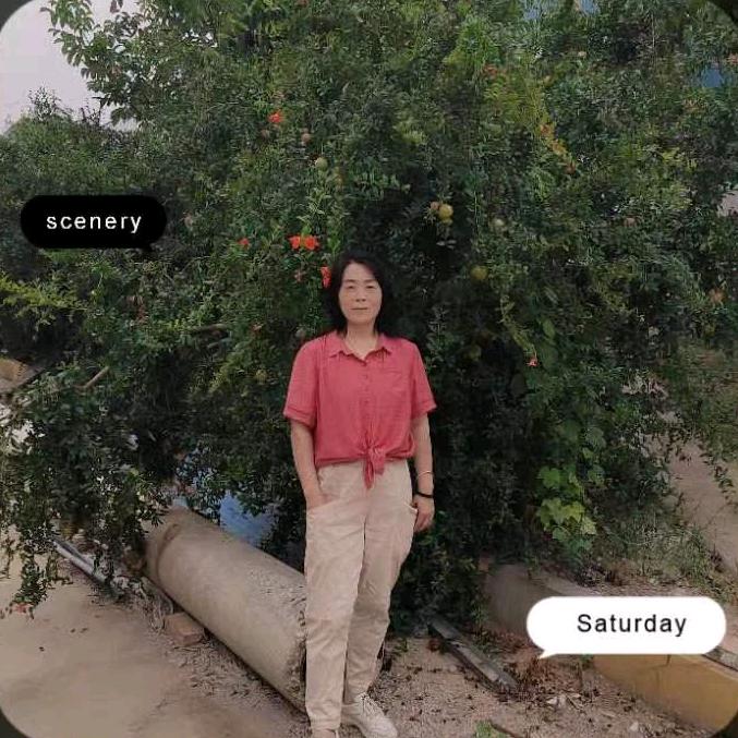 绿竹