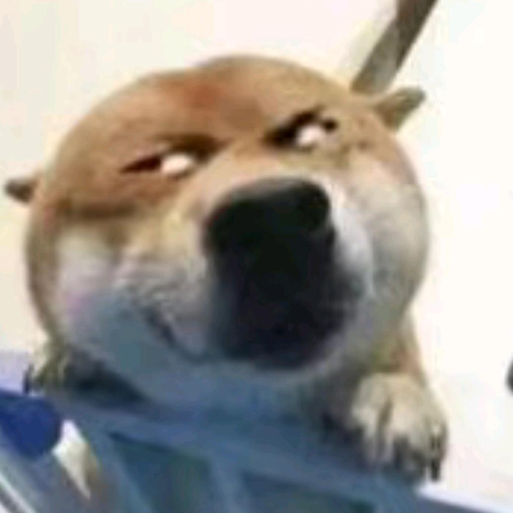 shut