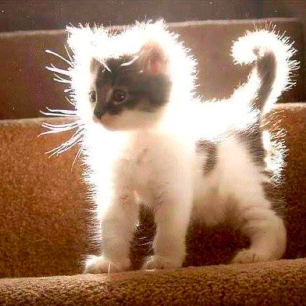 🌈回故（三角洲行动）