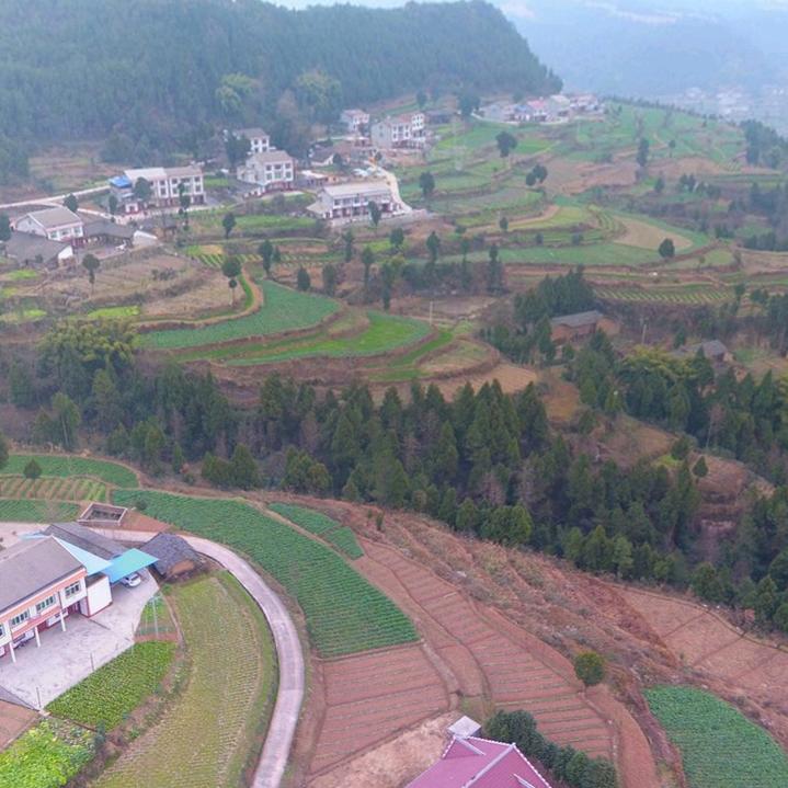 a东山再起