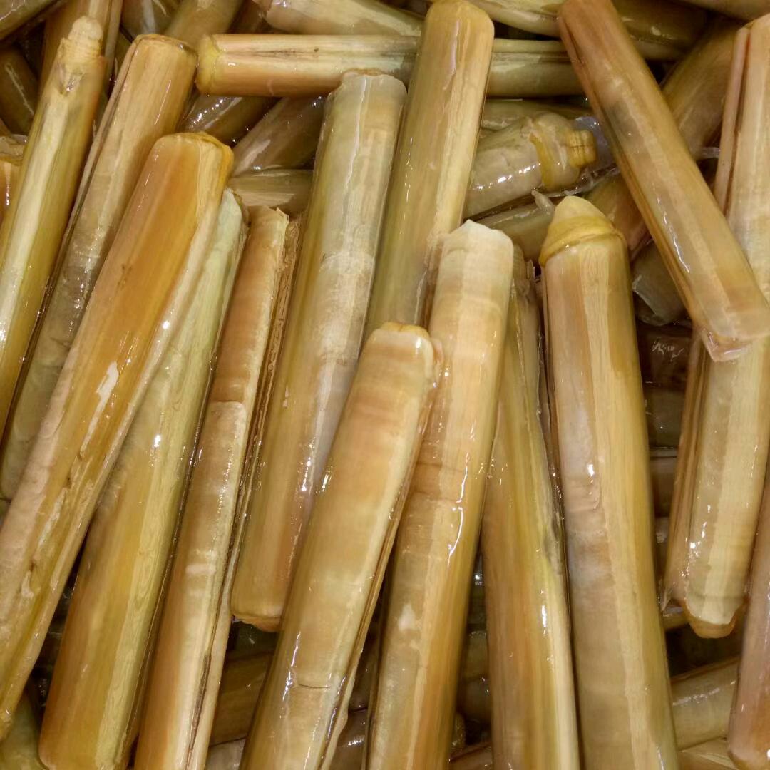 海阔凭鱼跃，天高任鸟飞。