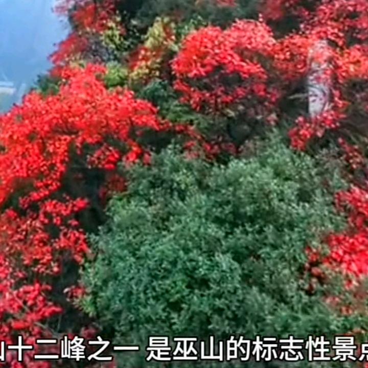 有你就是好
