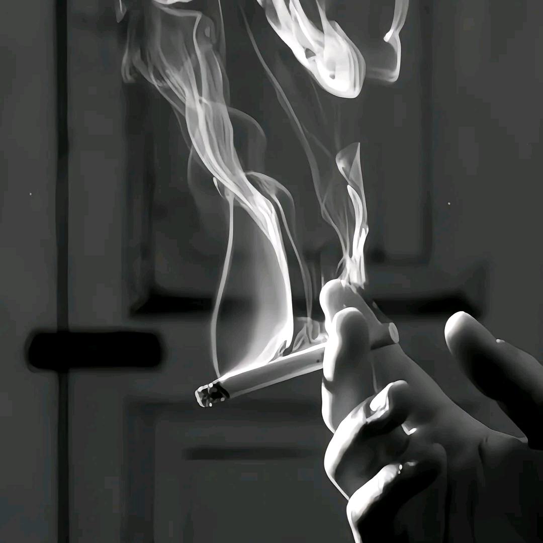 浪痞孤狼