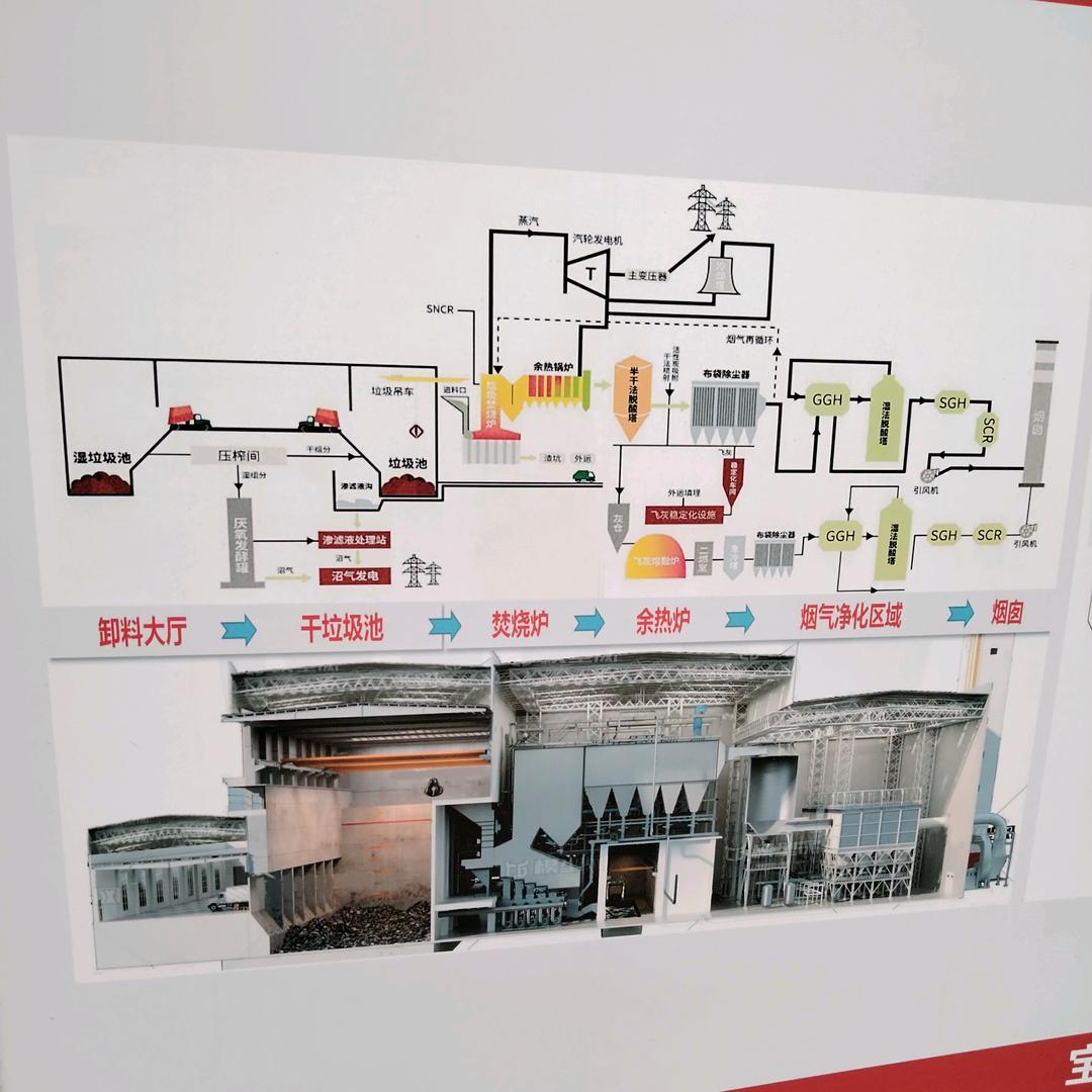 🌹🌹🌹单身启哥🌹🌹🌹