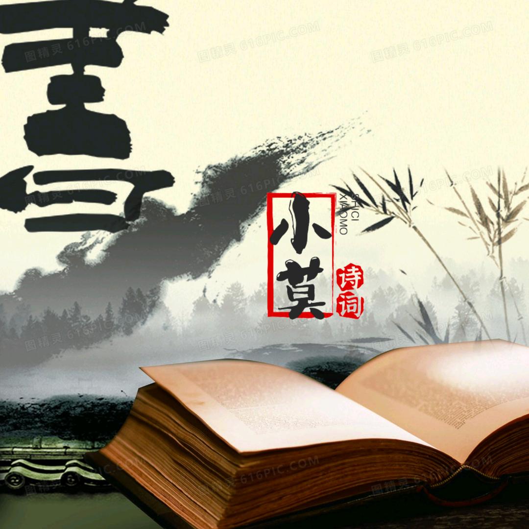 老莫，我想读书了