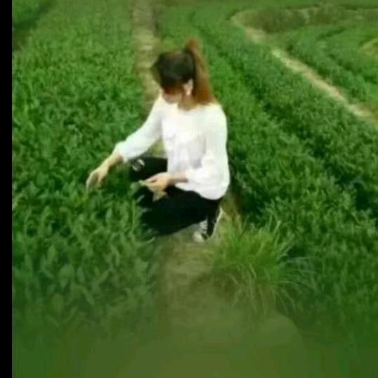 为你而来