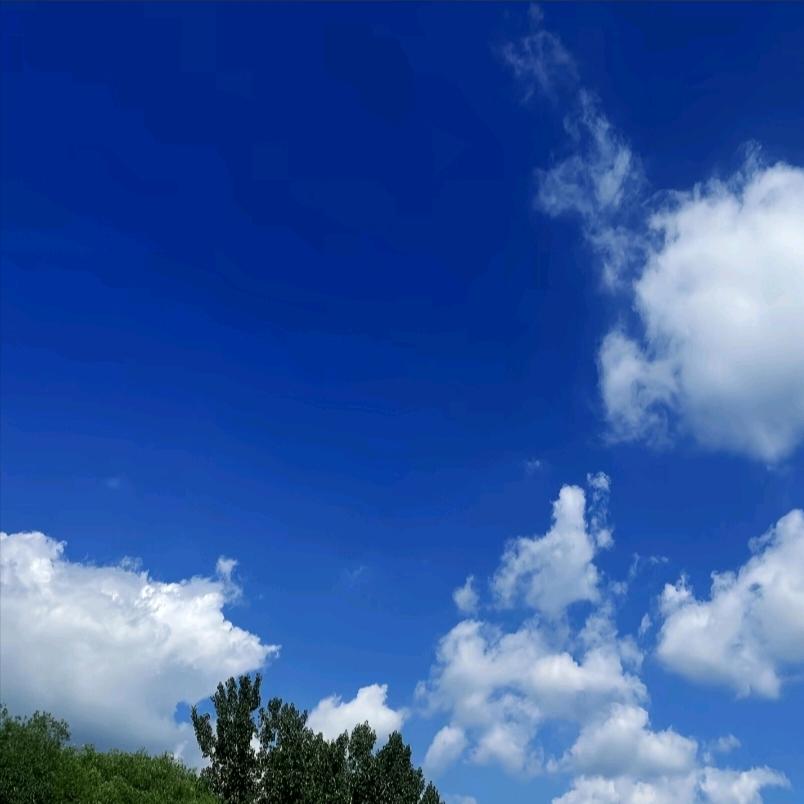 ᭄ℳ放ℳ๓纵๓