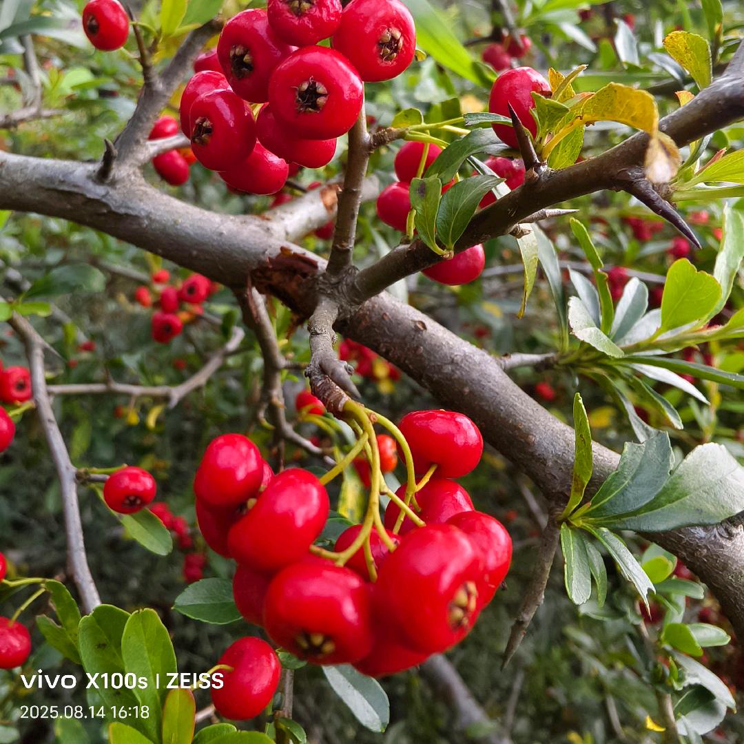 家家生鲜罗平店
