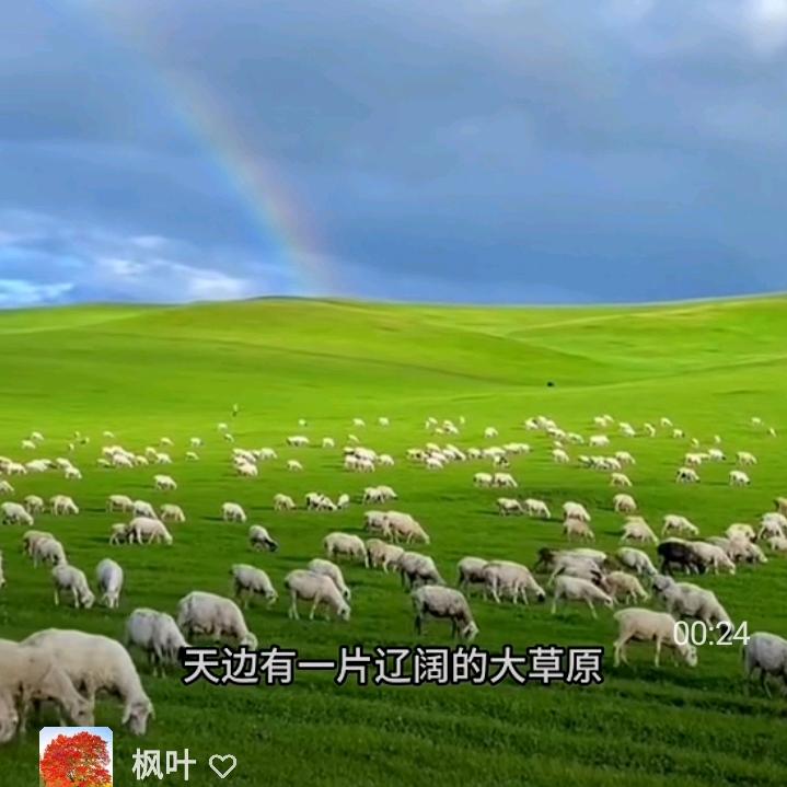 顺其自然