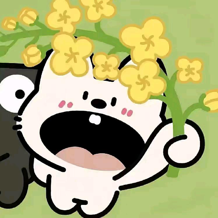 宝豆卷
