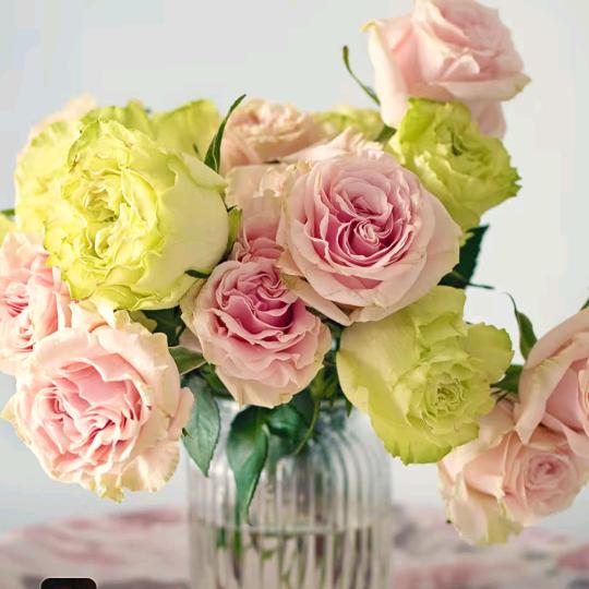 珎♡♥(ꐦÒ‸Ó)♥♡暿