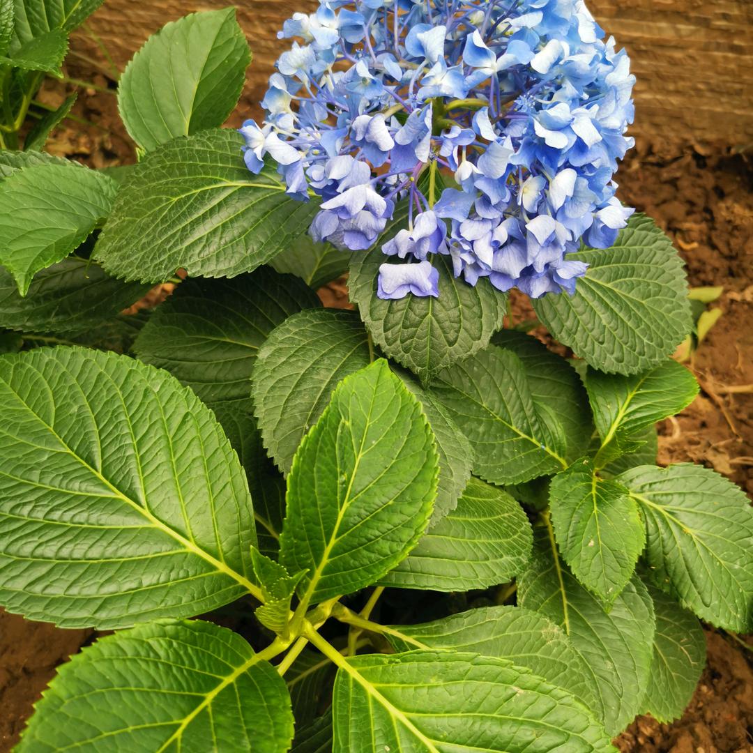 会花钱