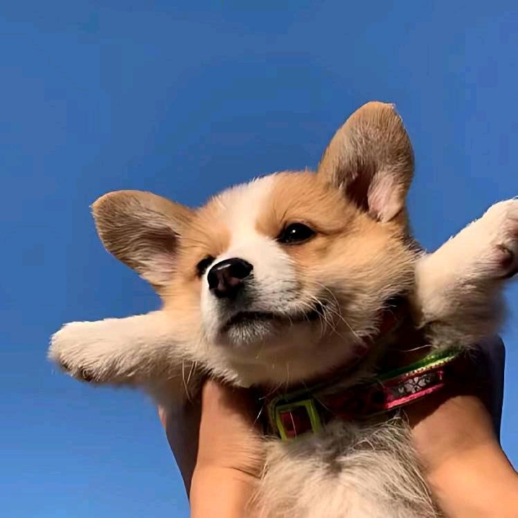 经典