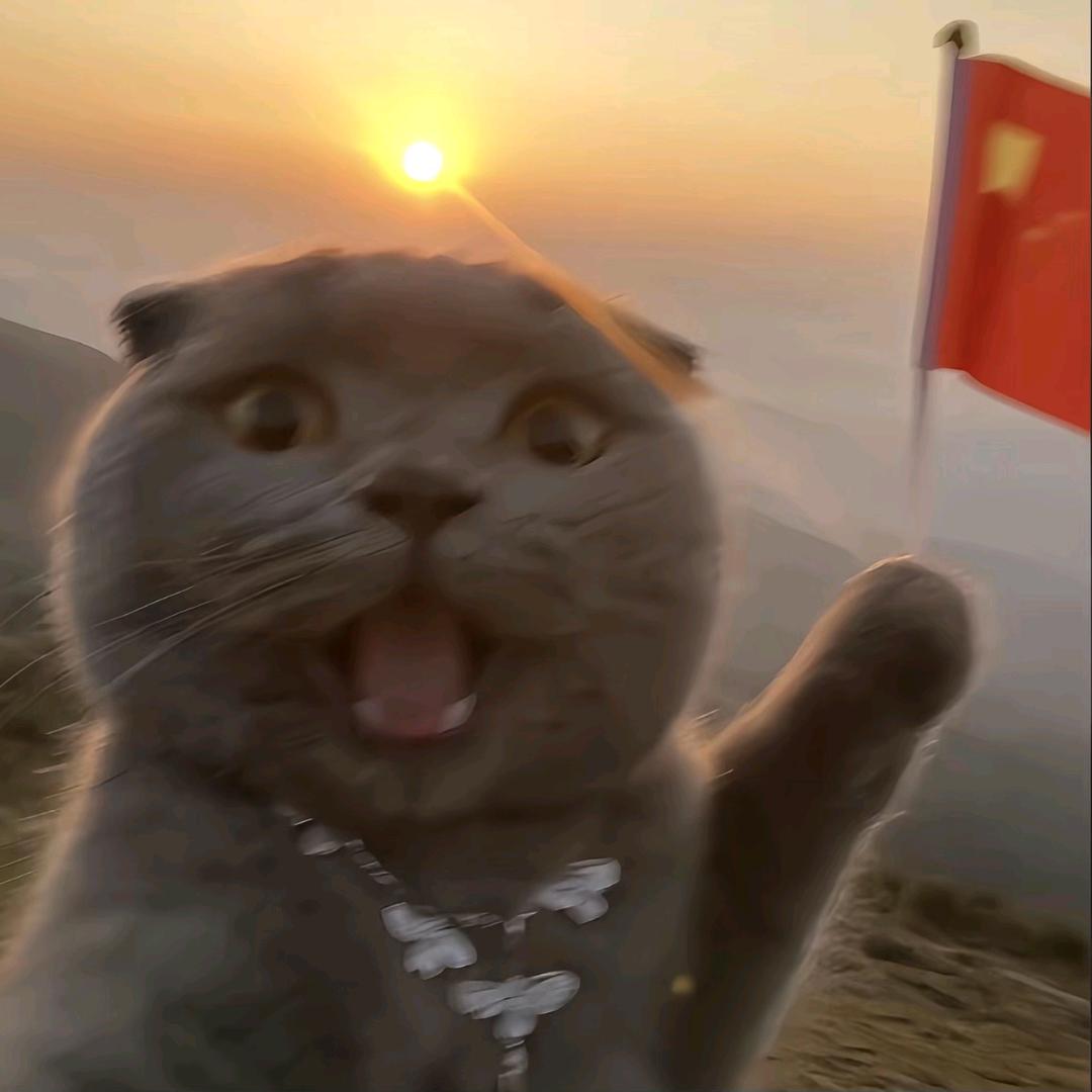 大头——百善孝为先