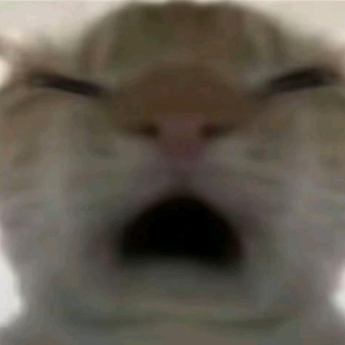 爆爽疯狂赛车闪耀(冲250粉）