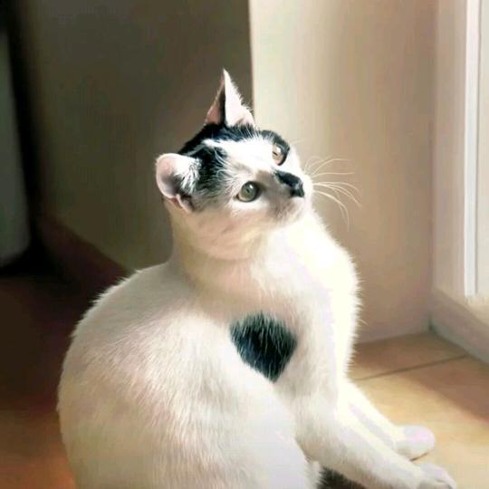 广州市迅策农产品生活坊