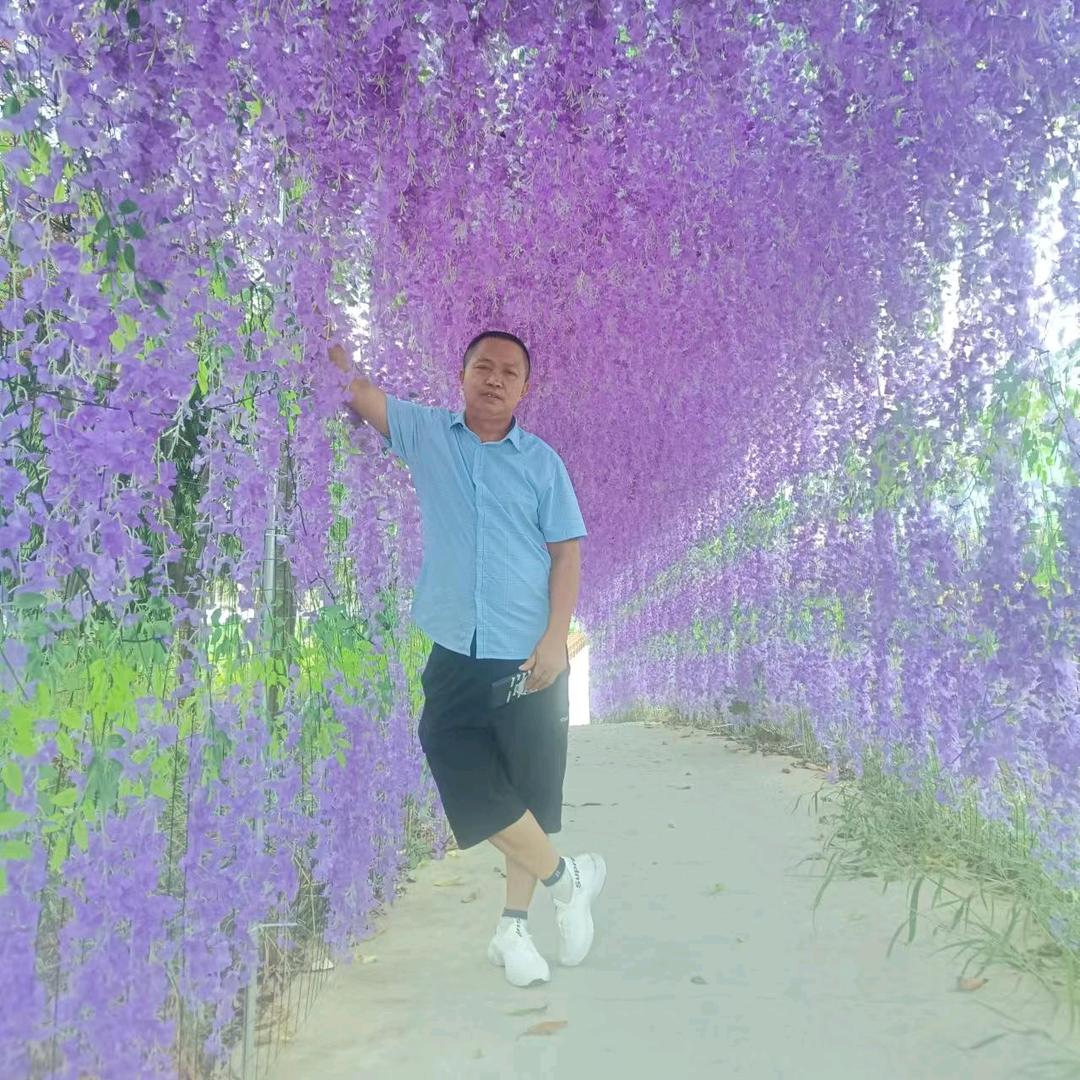 为拼一笑尽是伤