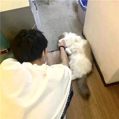 冰美式不加冰☕️🏀