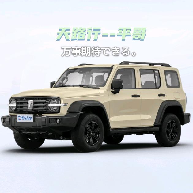 天路行——平哥