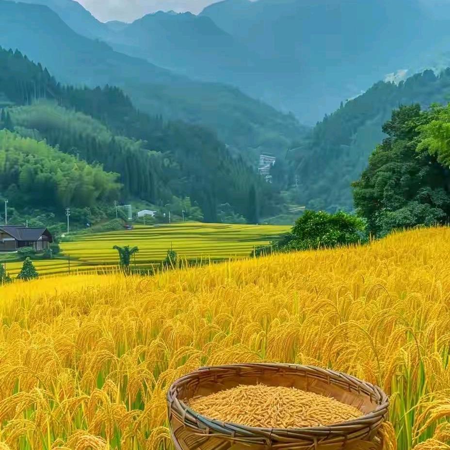 时来运转