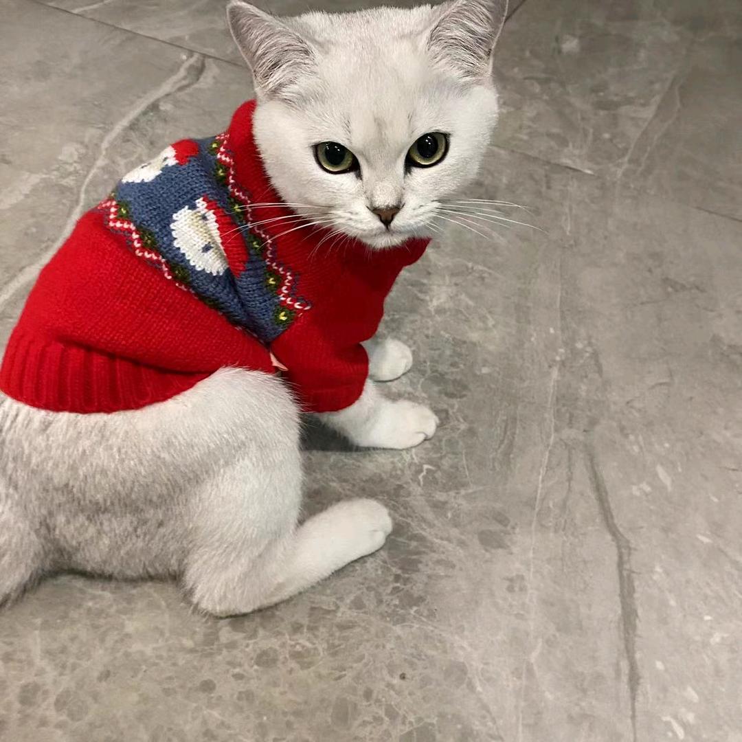 羊咩羊