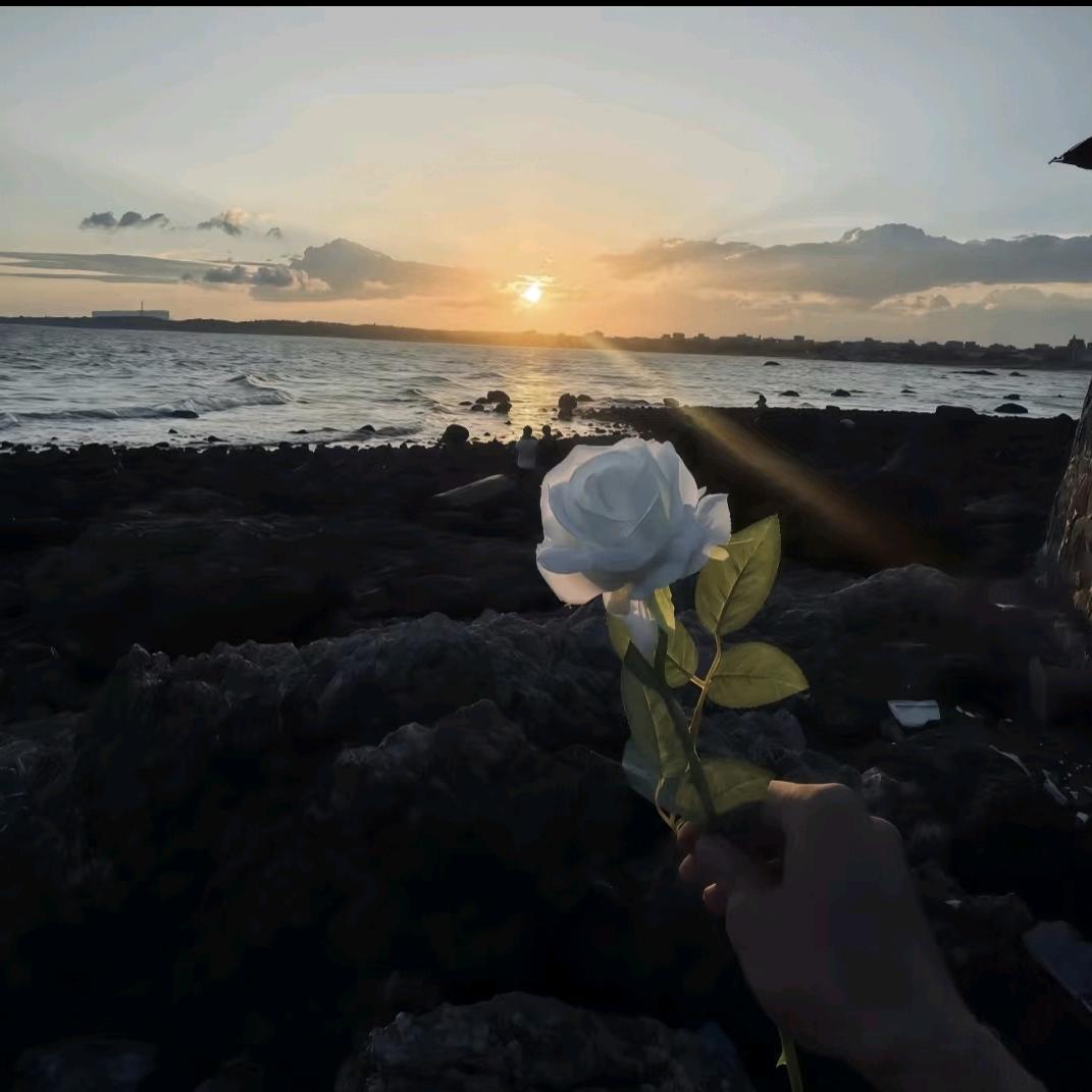 不如一碗蛋炒饭