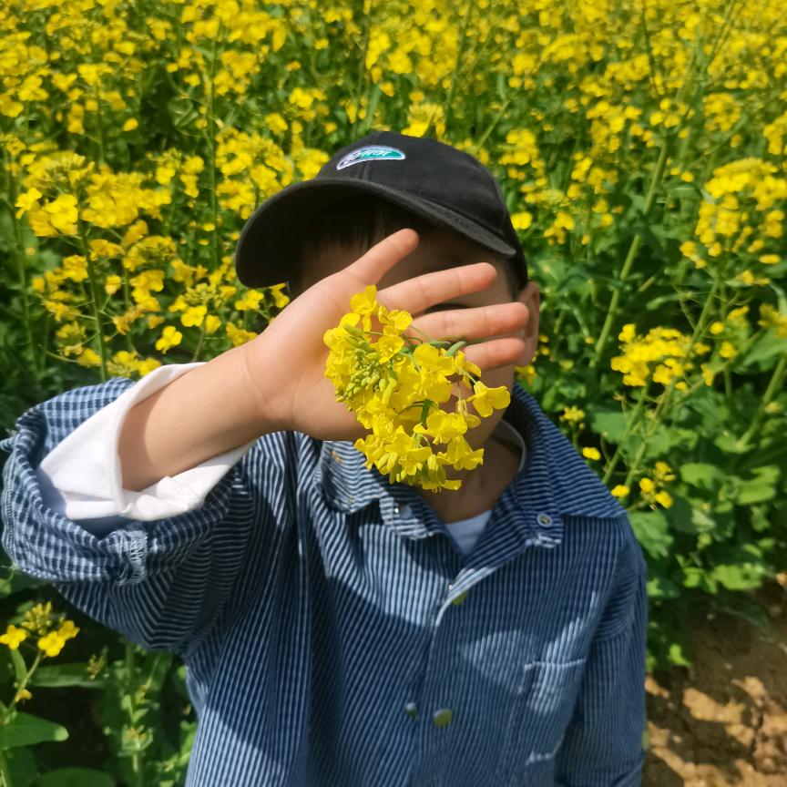 小燕姐