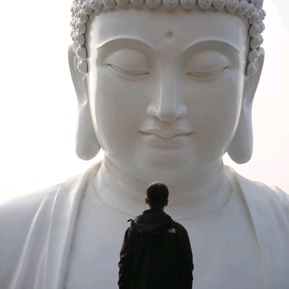 赵万金