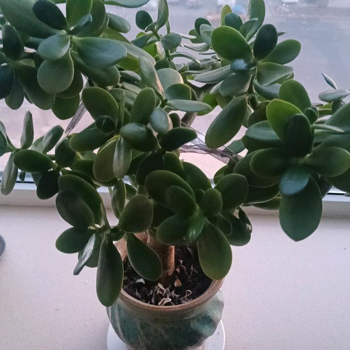 做好事，就好事连连