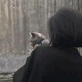 ღꦿ᭄雪儿