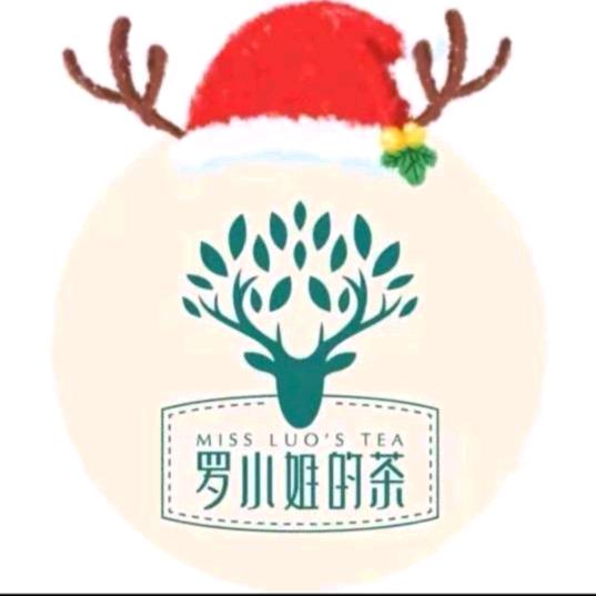 小罗新号