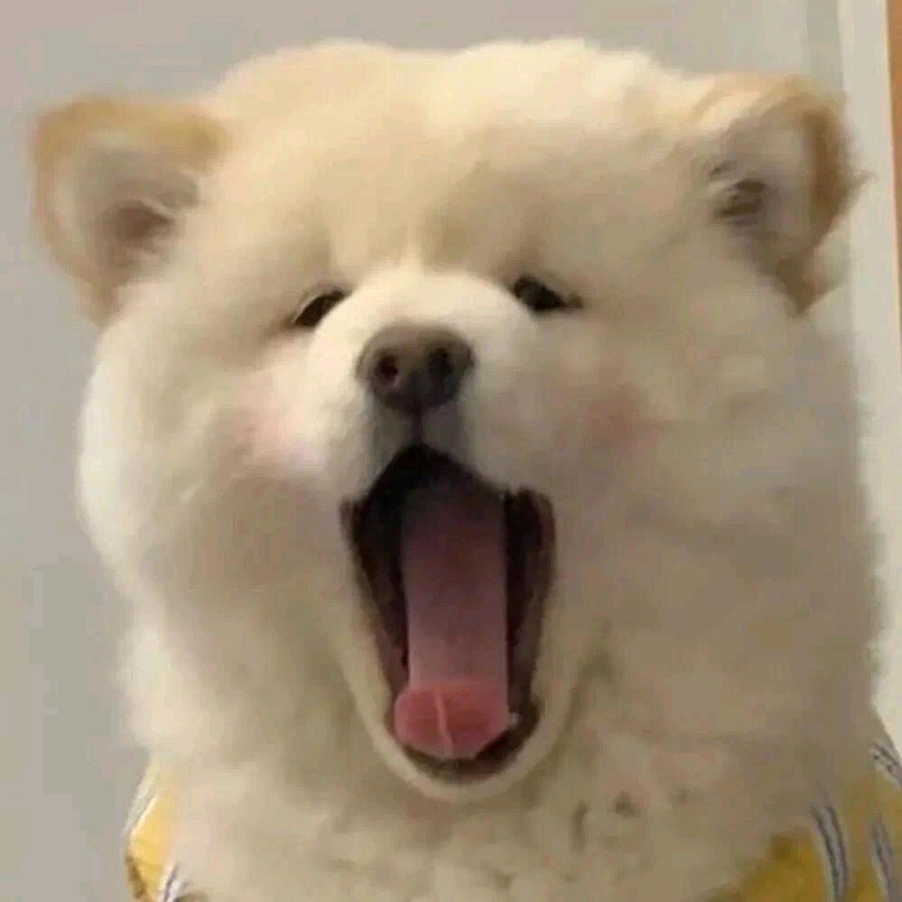小熊会画饼
