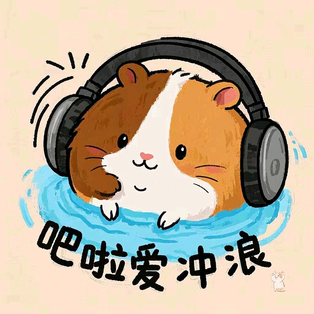 吧啦爱冲浪