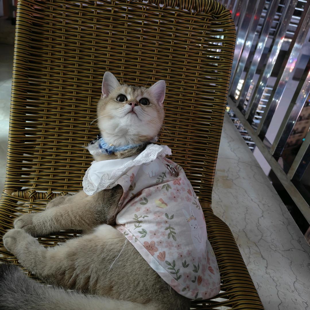 z☡zᶻ.好物分享