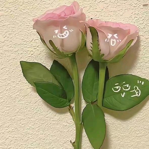 ζั͡一ั͡叶ั͡知ั͡秋ั͡✾ 🍃˚