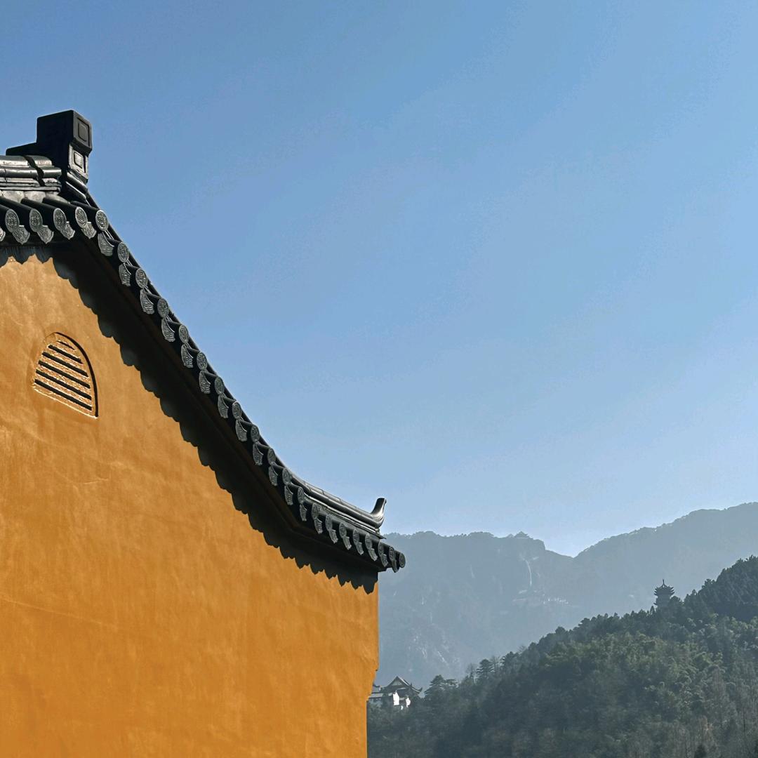 夏天c(云顶之弈)