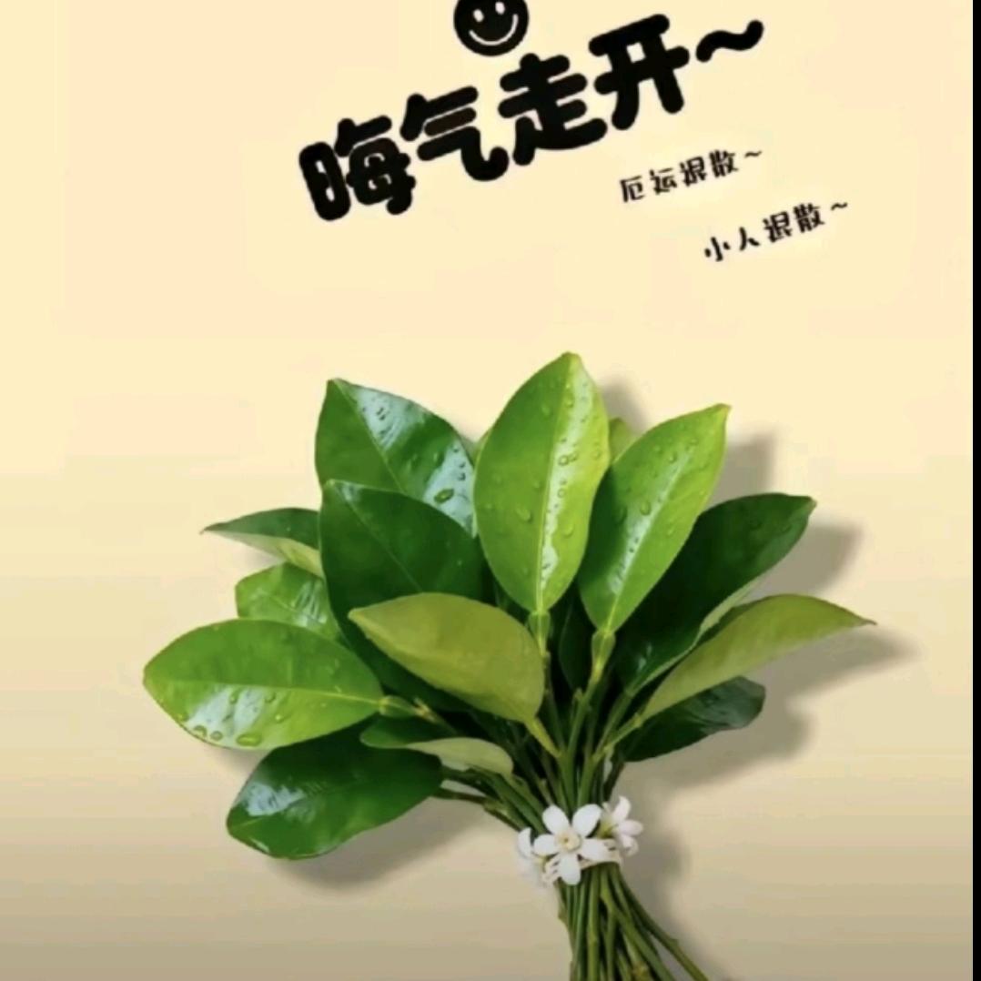 zhang&Lᵒᵛᵉꦿ楠᭄