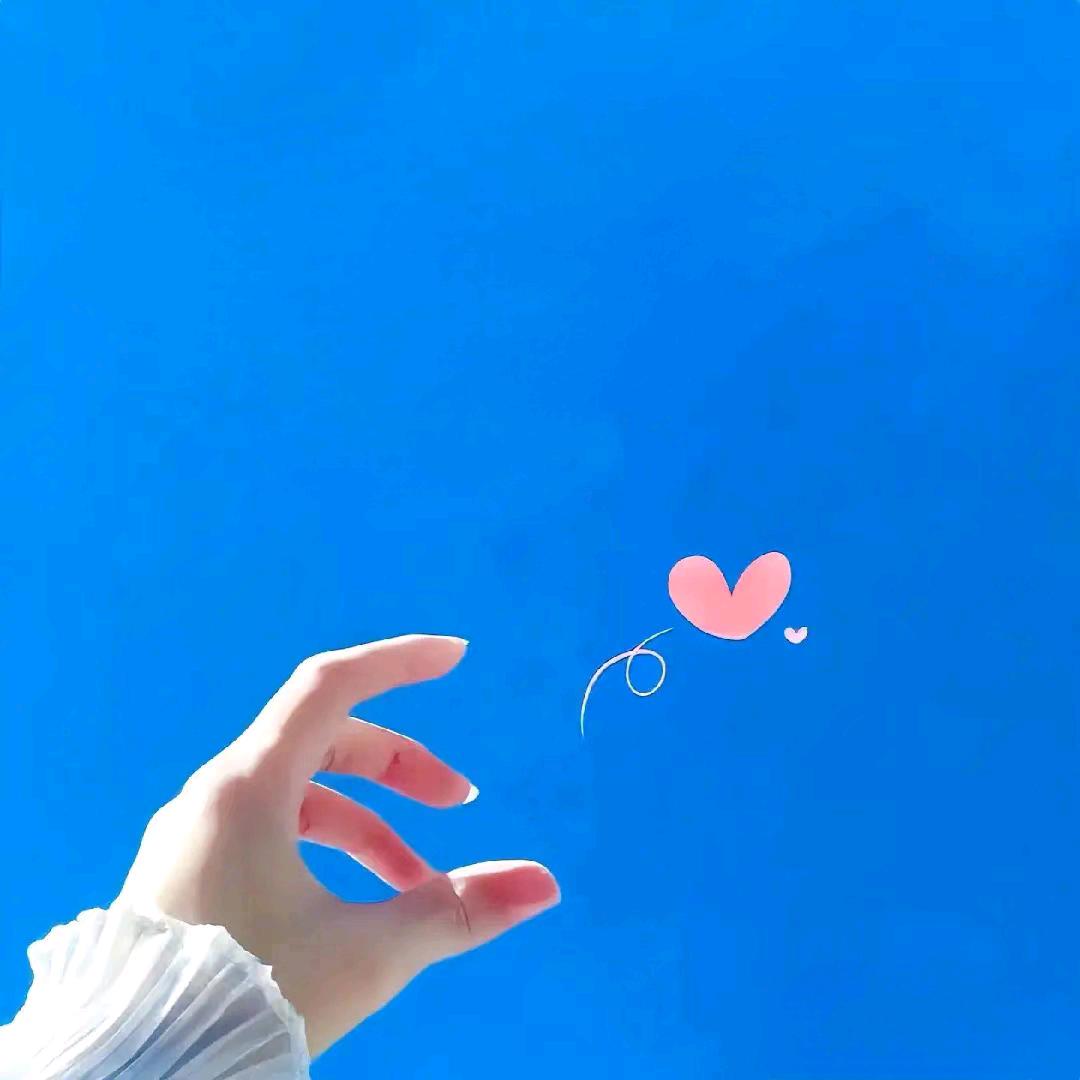 番茄不红✧