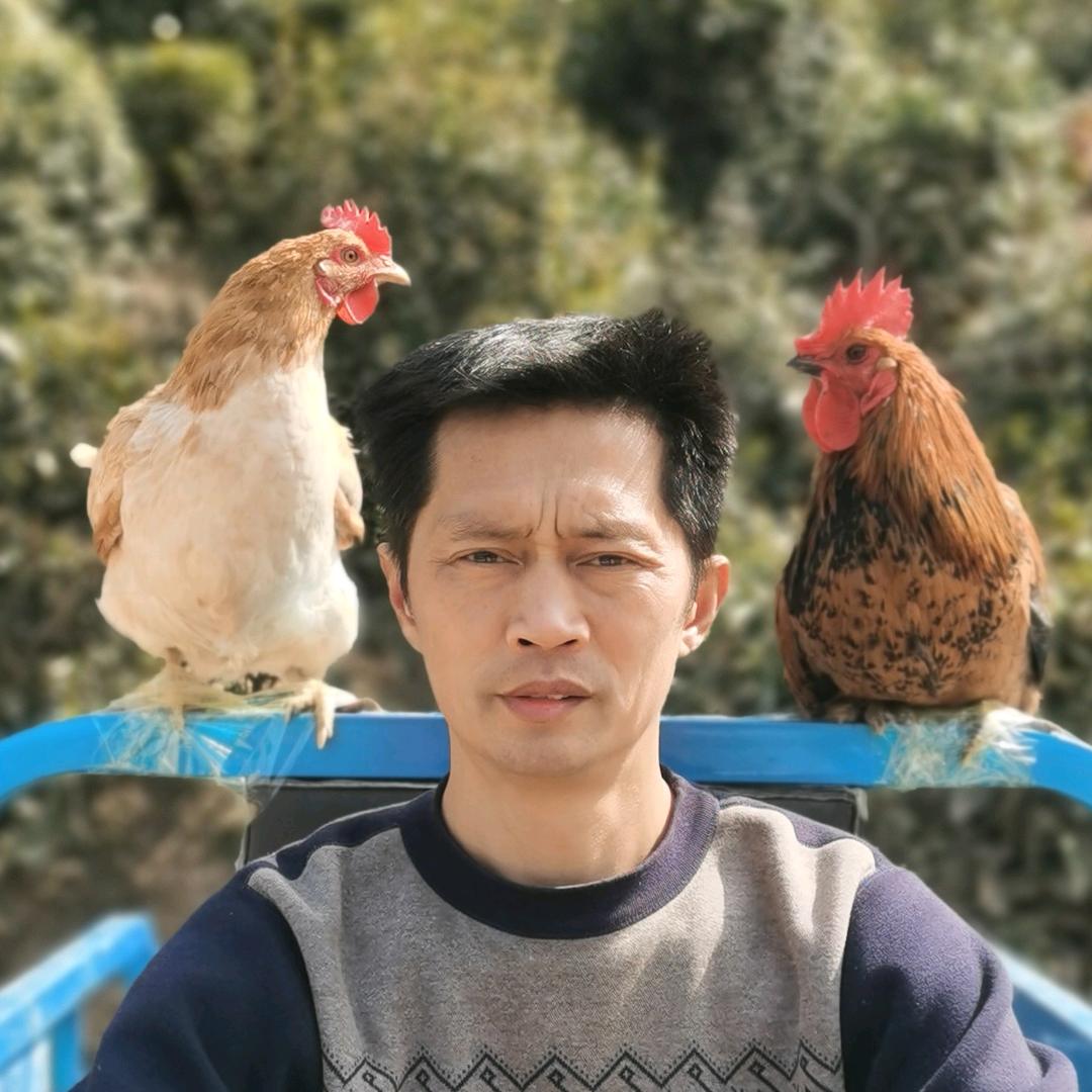 十堰土鸡张老板