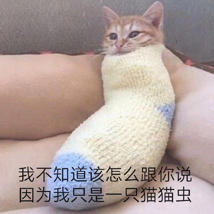 窗外雨声疾