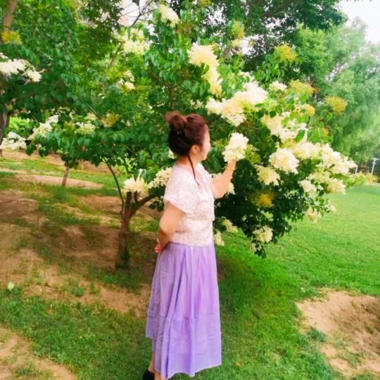 岁月静好，淡定安然