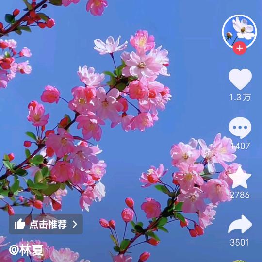 风吹过&大街