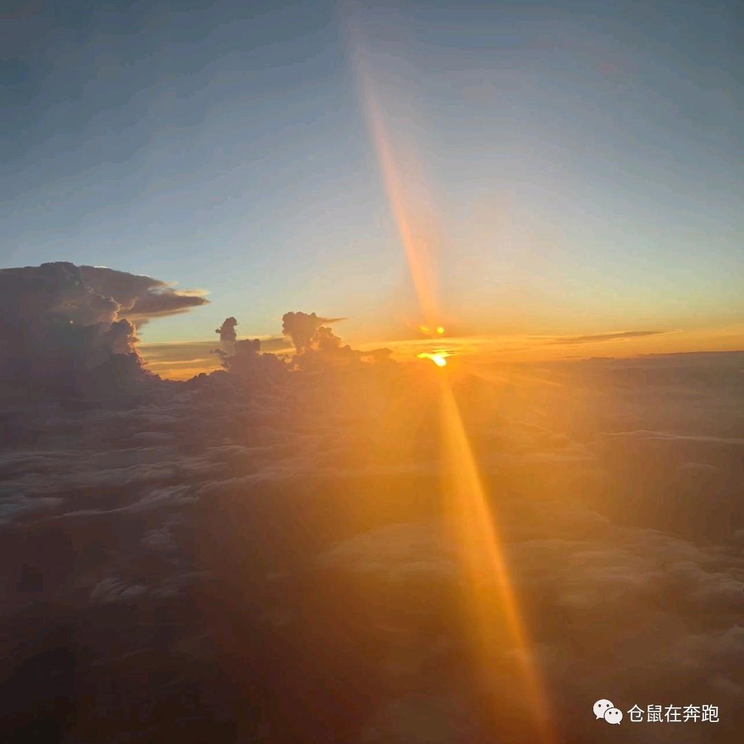 狼行天下(๑òᆺó๑)