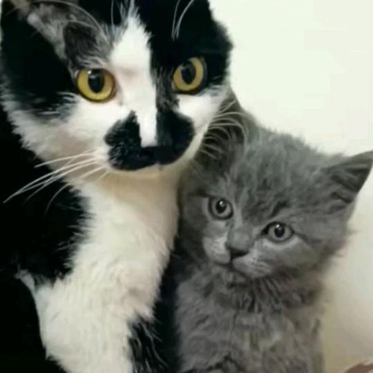 开心快乐每一天，靠自己