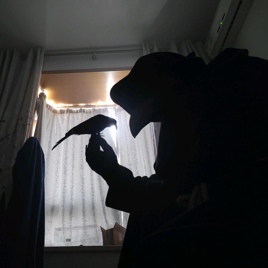 青鸾绻舞云烛泪