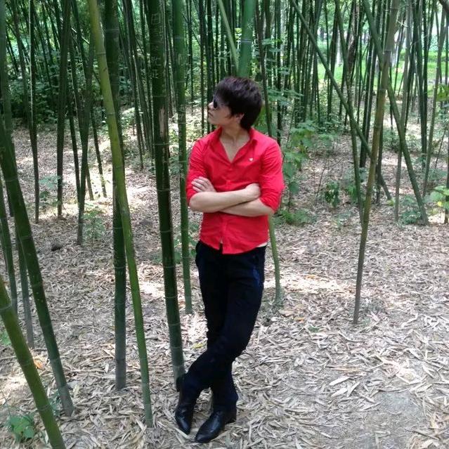 生物质颗粒