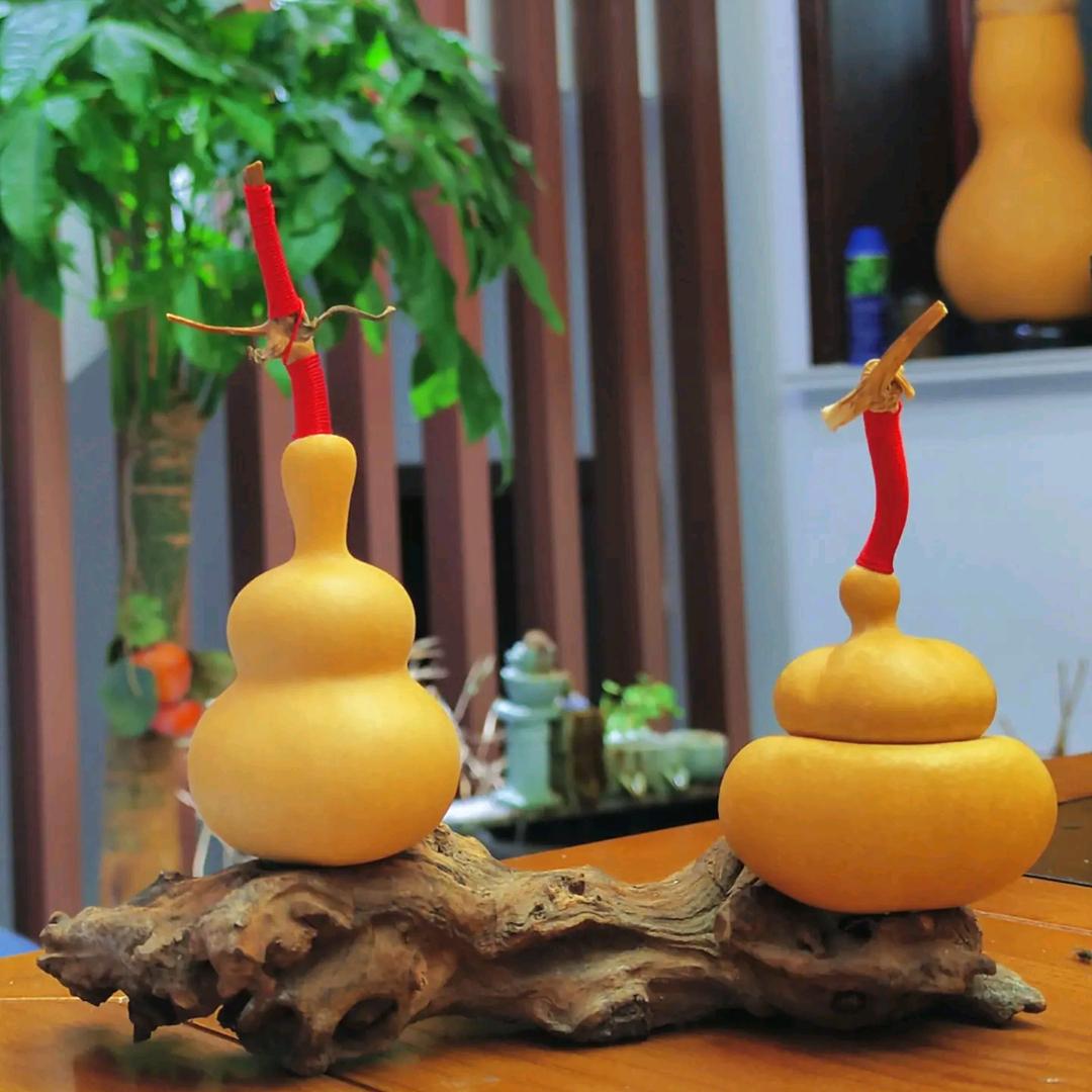 葫芦收割机直播间