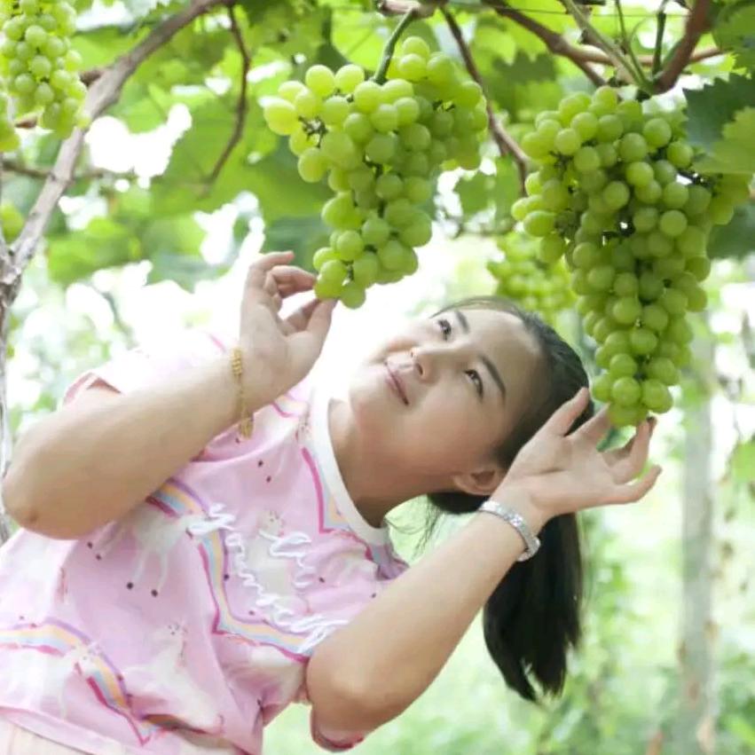 金堂县绵忆家庭农场