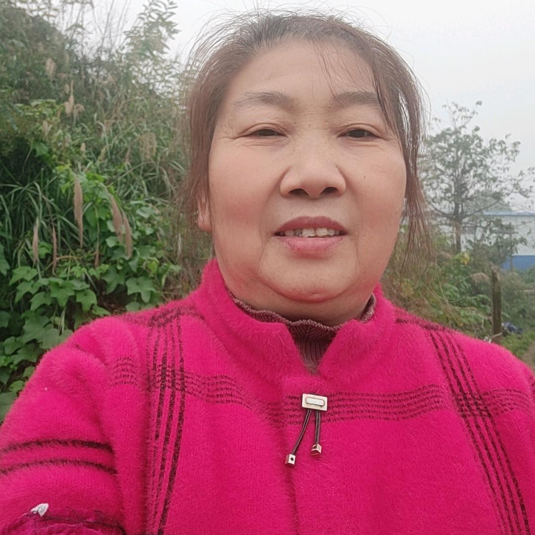 赵姐姐每天早上7点直播