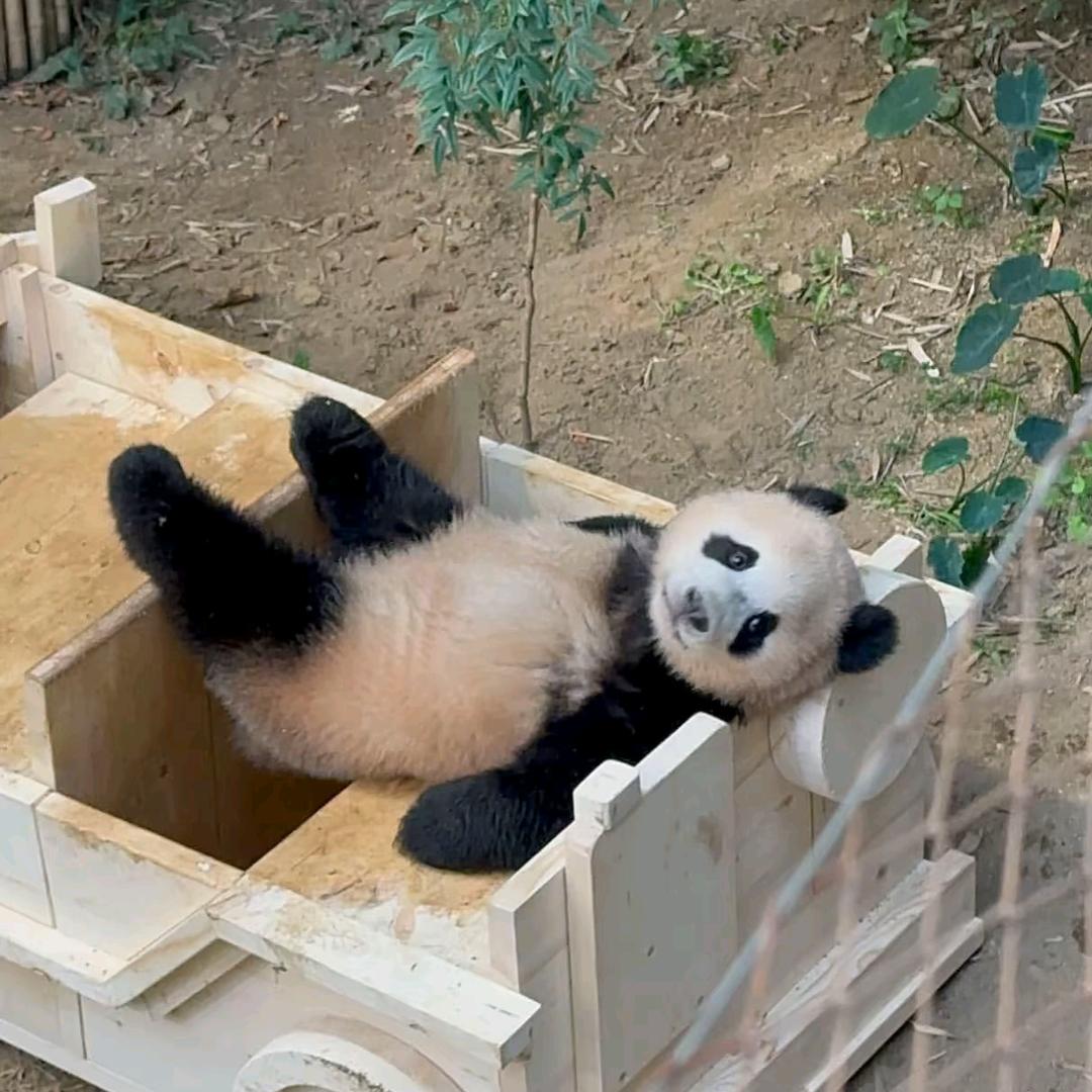 一拳一个嘤嘤怪